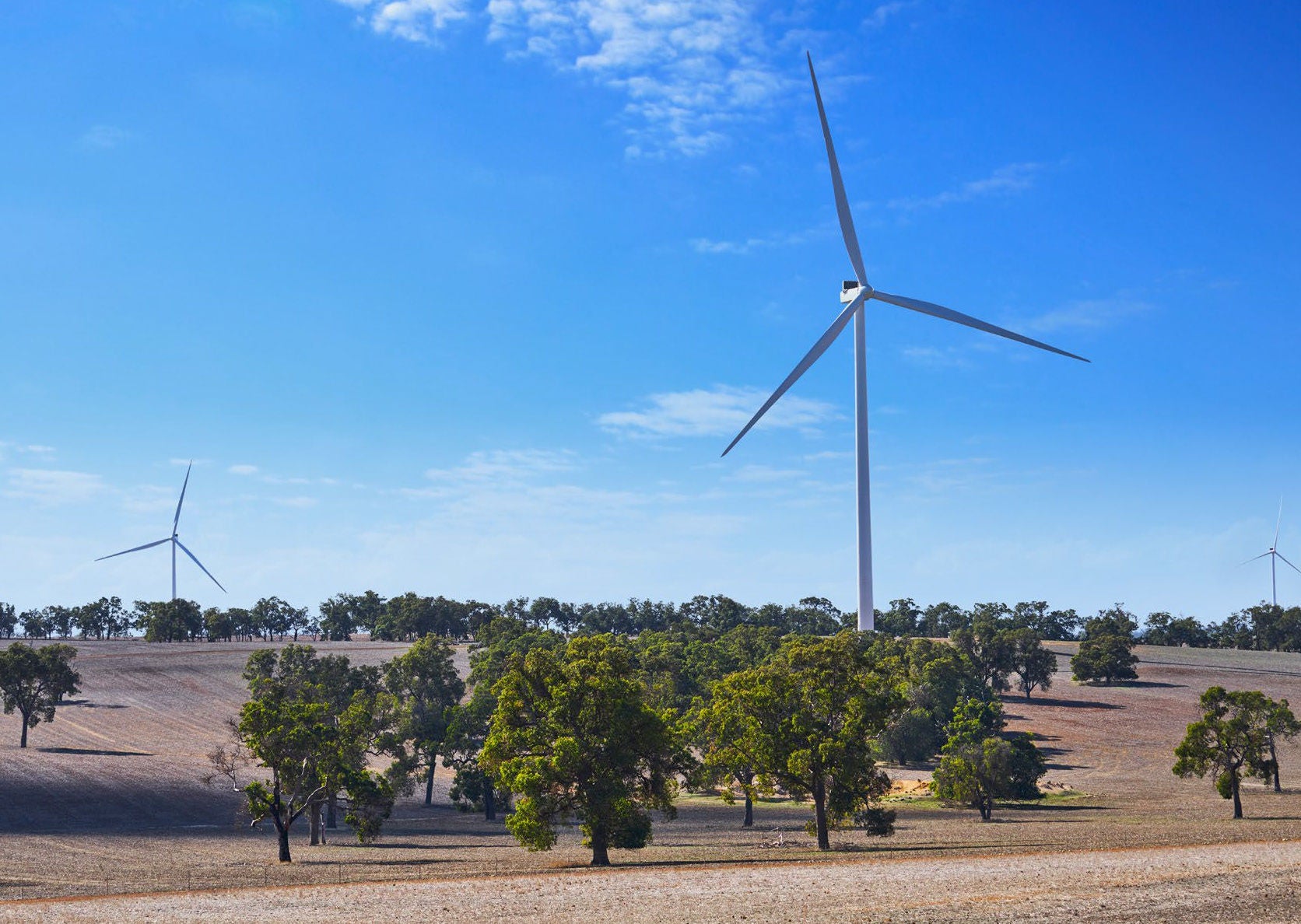 Windmills against a blue sky with green trees beneath them