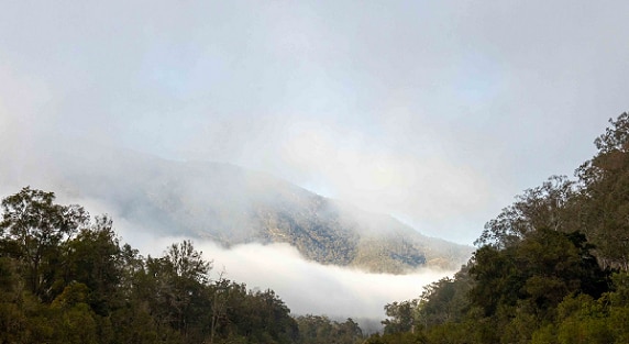 Green, misty hills against a grey sky